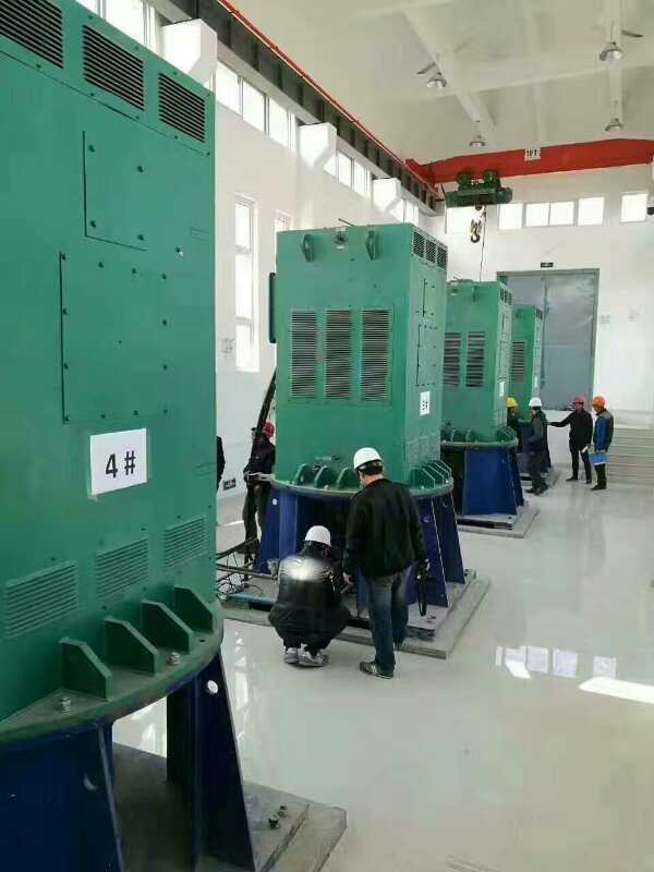 滨江某污水处理厂使用我厂的立式高压电机安装现场安装尺寸